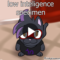 A drawing of Cloe the black cat from above. She is smiling. Text above her reads "low inteligence specimen". The background is a blurry living room.